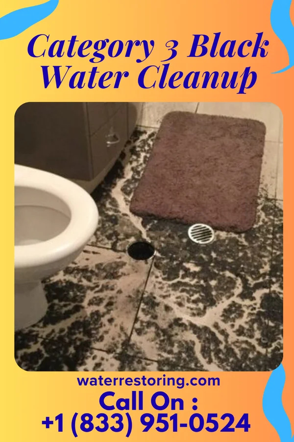 Category 3 Black Water Cleanup in Morton, WA