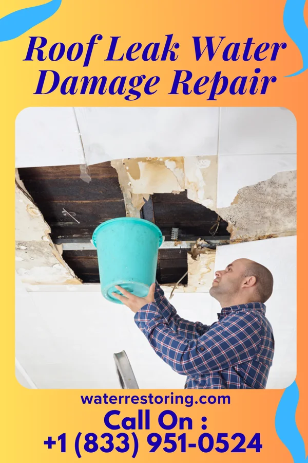 Roof Leak Water Damage Repair in Morton, WA